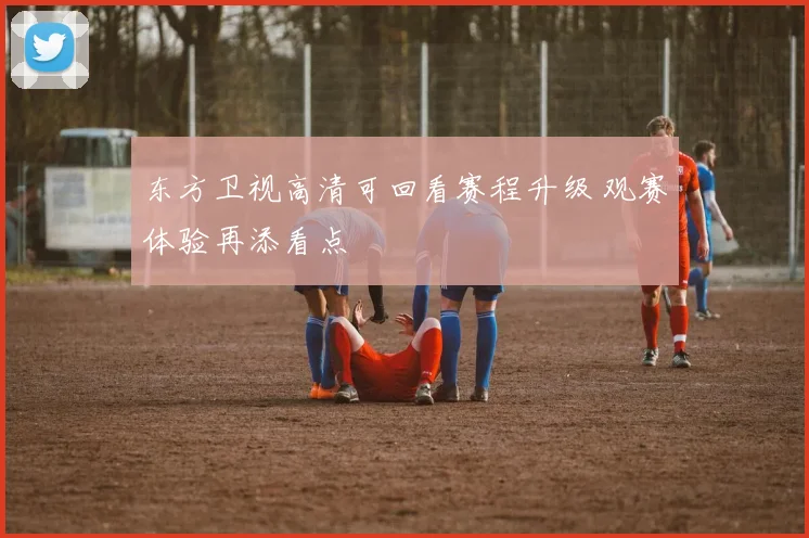 东方卫视高清可回看赛程升级 观赛体验再添看点